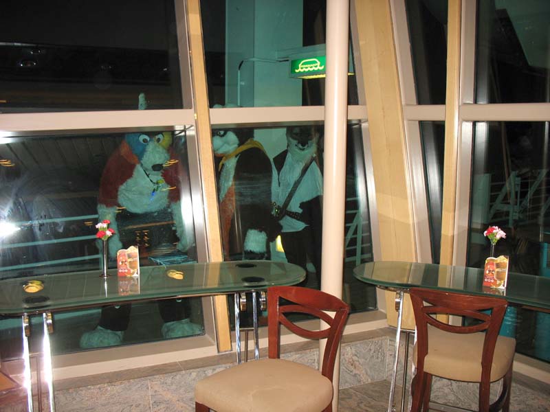 528 furries under glass.jpg